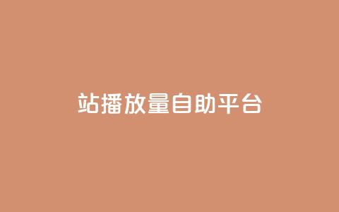 b站播放量自助平台 - 提升B站视频浏览量的自助服务平台! 第1张 b站播放量自助平台 - 提升B站视频浏览量的自助服务平台! 第1张