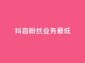 抖音粉丝业务最低,王者荣耀主页刷热度网站 - 24小时自助服务平台 - 快手热度网站