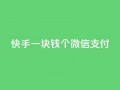 快手一块钱100个微信支付,刷粉黑科技涨粉工具 - 24小时自助下单云商城 - 云小店24小时自助下单