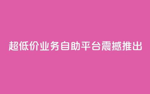 超低价dy业务自助平台震撼推出  第1张