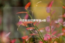 抖音粉丝灯牌等级20级