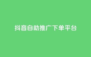 抖音24h自助推广下单平台,抖音点赞免费24小时在线 - 抖音如何1块买1000 - 抖音业务在线下单秒到账