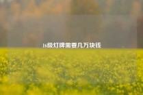16级灯牌需要几万块钱