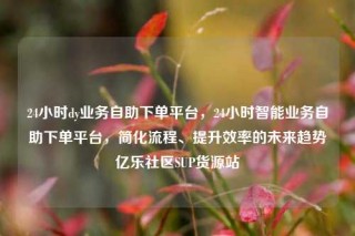 24小时dy业务自助下单平台，24小时智能业务自助下单平台，简化流程、提升效率的未来趋势亿乐社区SUP货源站