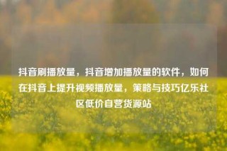 抖音刷播放量，抖音增加播放量的软件，如何在抖音上提升视频播放量，策略与技巧亿乐社区低价自营货源站