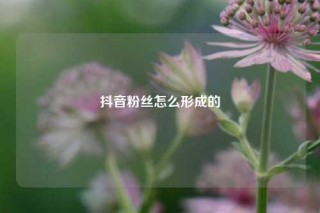 抖音粉丝怎么形成的