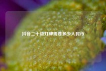 抖音二十级灯牌需要多少人民币