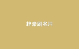 梓豪刷名片,抖音业务卡盟网站最低价 - dy自定义评论下单 - 抖音点赞充值秒到账