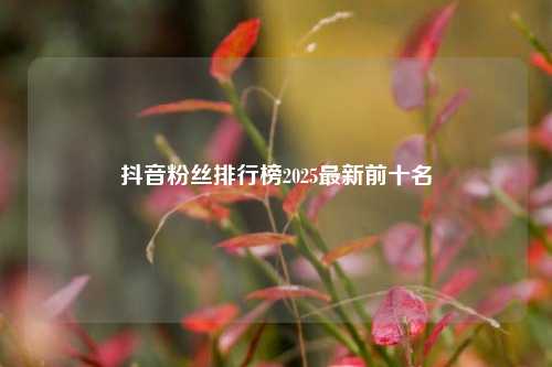 抖音粉丝排行榜2025最新前十名  第1张
