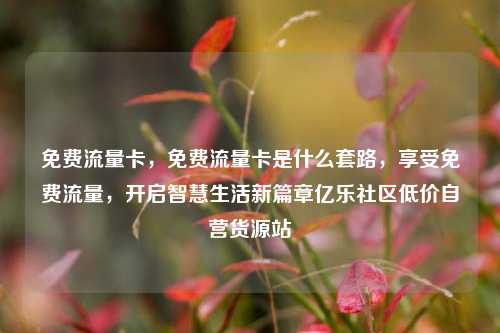 免费流量卡，免费流量卡是什么套路，享受免费流量	，开启智慧生活新篇章亿乐社区低价自营货源站  第1张