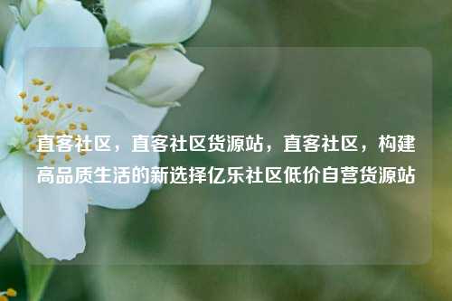 直客社区，直客社区货源站	，直客社区，构建高品质生活的新选择亿乐社区低价自营货源站  第1张